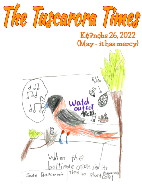 Student drawing of a Baltimore oriole bird chirping on a branch.