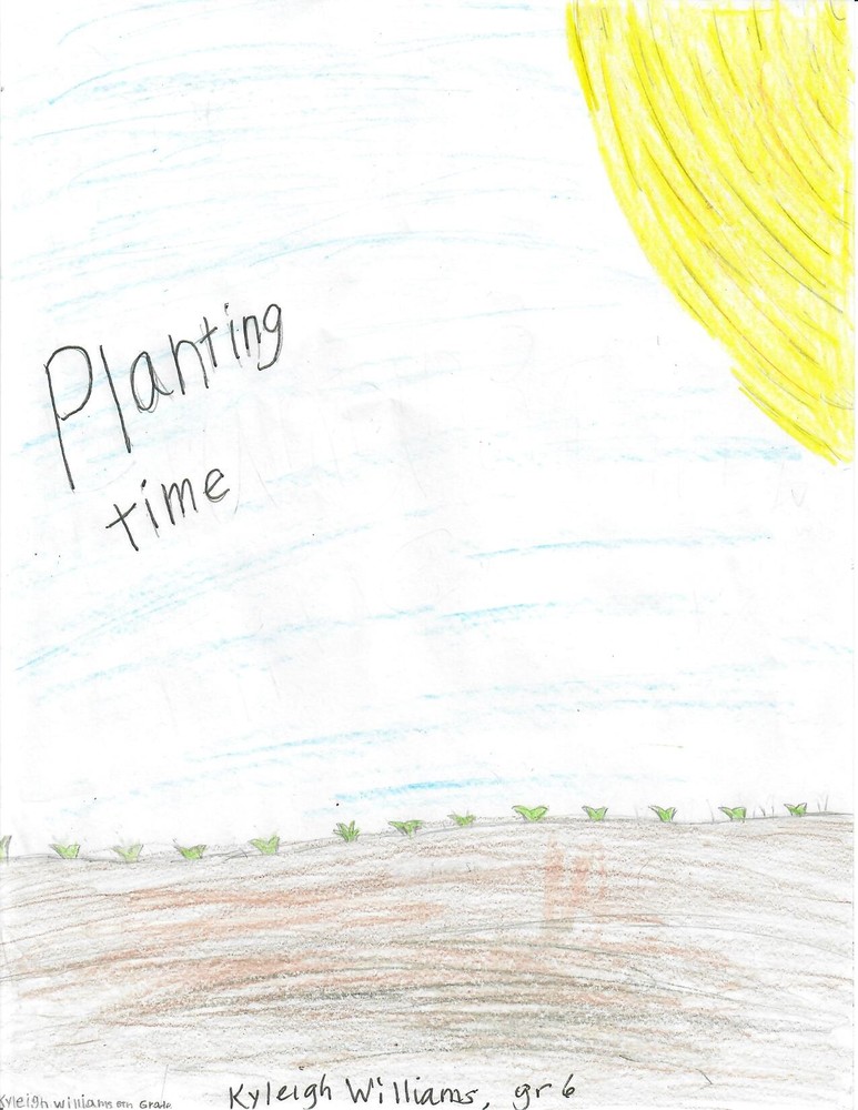 Student drawing of sun, sky, and plants coming up